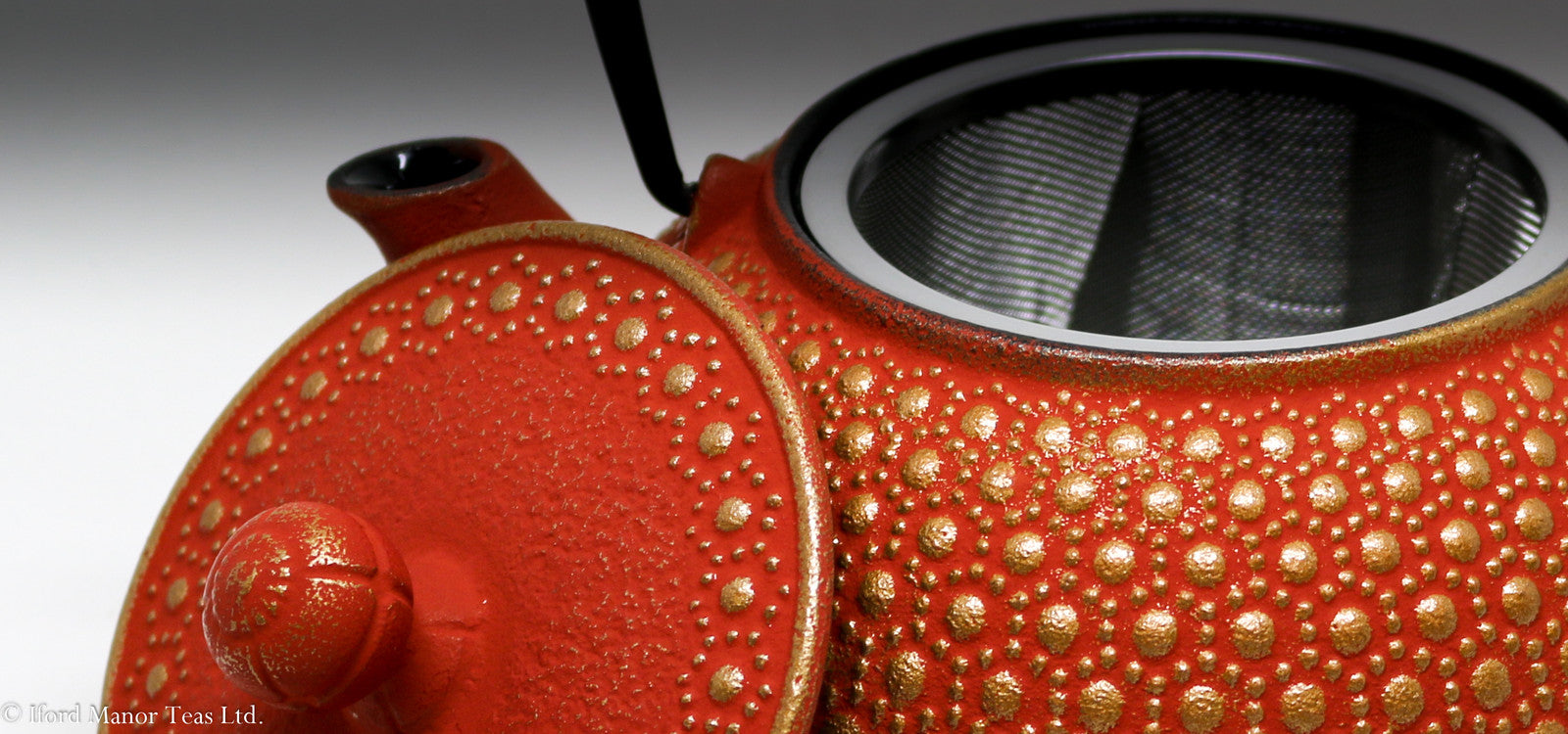 Buy Iwachu Cast Iron Teapots from Iford Manor Teas